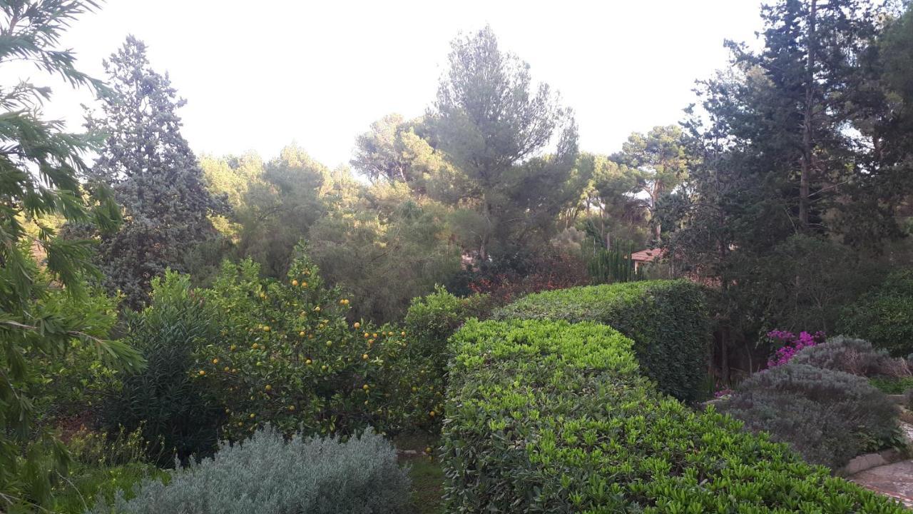 Casa De Las Vistas Palma de Mallorca Exterior photo